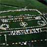 Vanfest99.