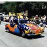 Painted Karmann-Ghias on parade.