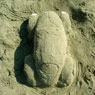 Reta's Beetle sculpture made of sand at the beach